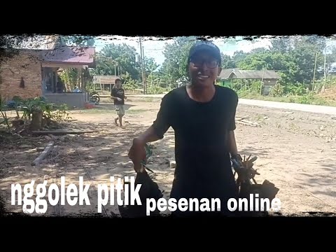 download lagu mp3 mp4 Golek Online, download lagu Golek Online gratis, unduh video klip Golek Online