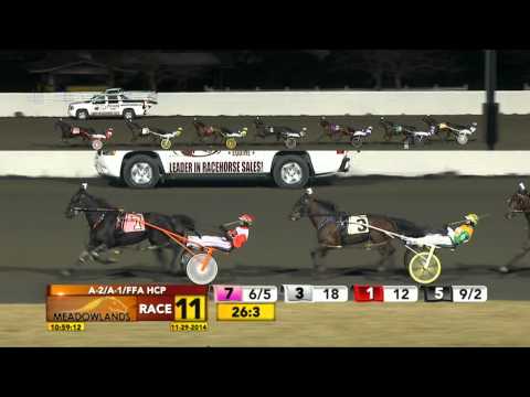 Meadowlands November 29, 2014 - Race 11 - Speed Again
