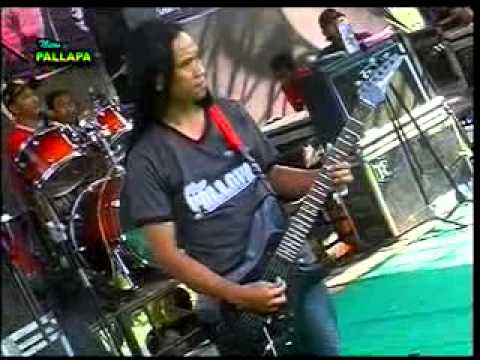 NEW PALLAPA BUNGA DAHLIA TASYA BALAUKA RECORD