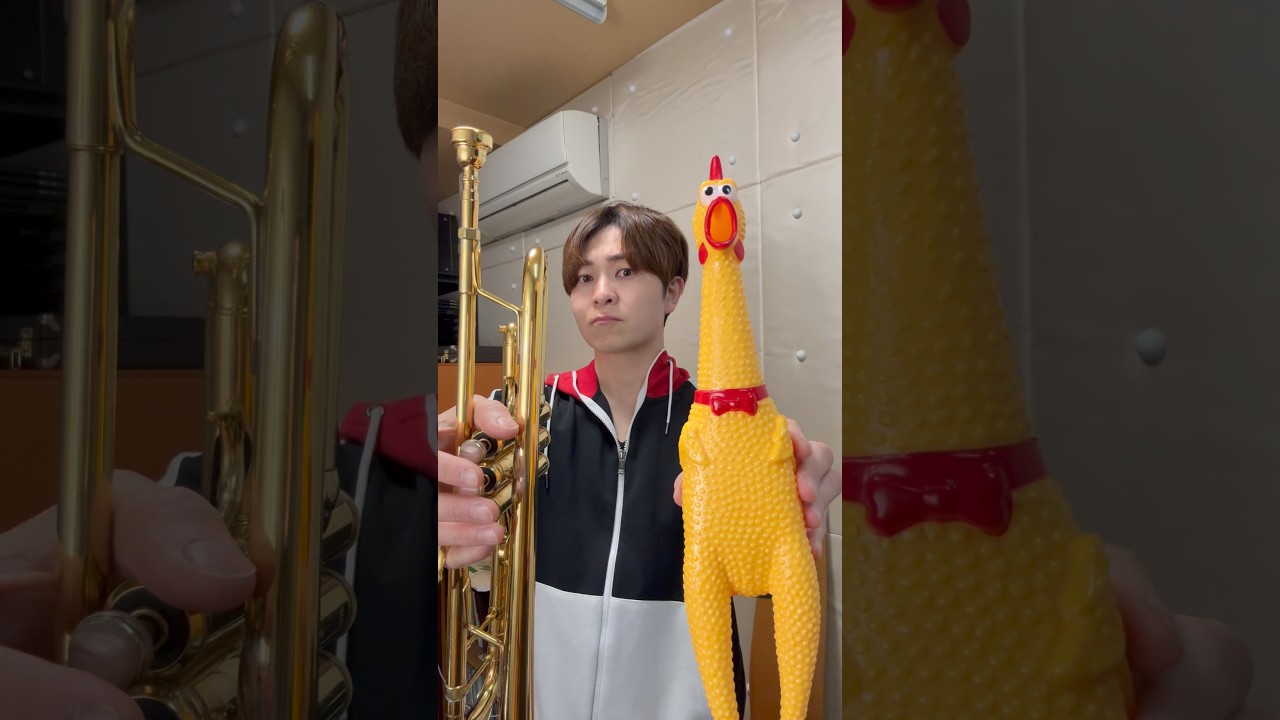 トランペットとチキン！ #トランペット #trumpet