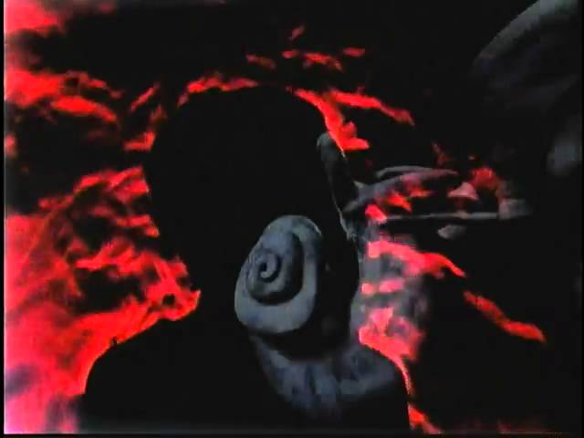 The Human Body Trailer