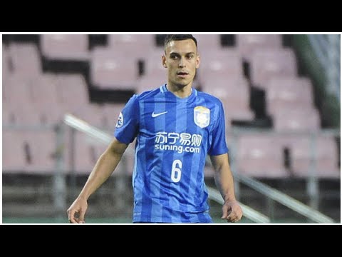 2018 FIFA World Cup in Russia; Socceroos defender Trent Sainsbury; Tim Cahill