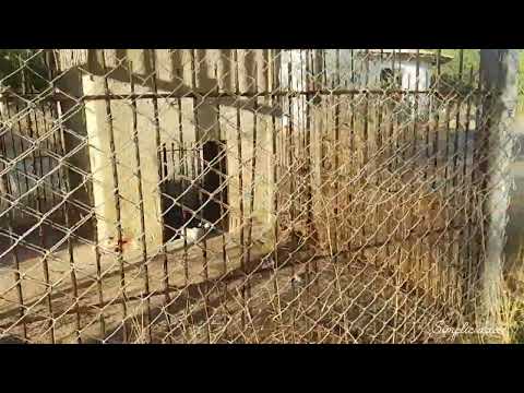 Simplicidade no interior de FORTIM-CEARA