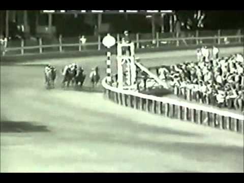 Native Dancer.. pictures, and video's!