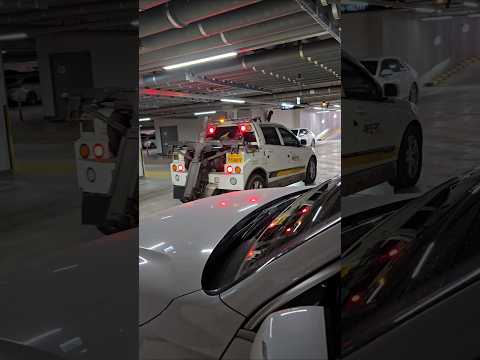 не царское дело