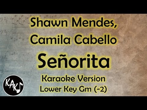 Shawn Mendes, Camila Cabello - Señorita Karaoke Lyrics Instrumental Cover Lower Key Gm