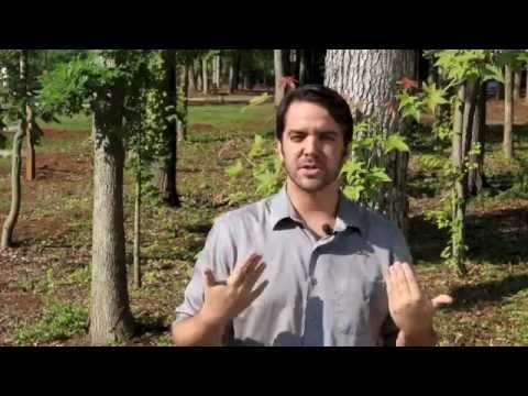 Promotional video thumbnail 8 for Richard Devens