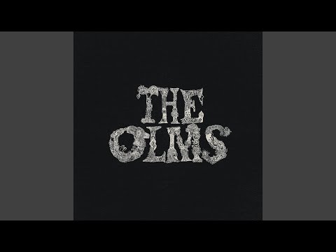 Bottle Of Wine - The Olms
