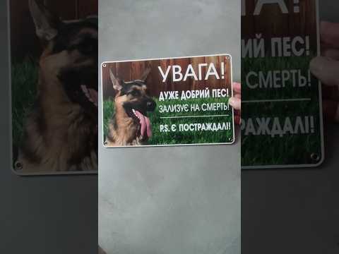 Табличка Осторожно очень добрый пес - фото 1 - id-p2563201994
