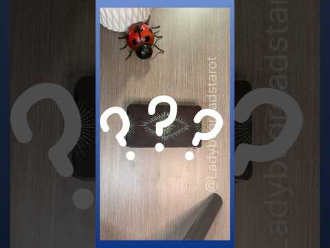 Discover the Truth Behind Angie Stone's Wild Conspiracy!