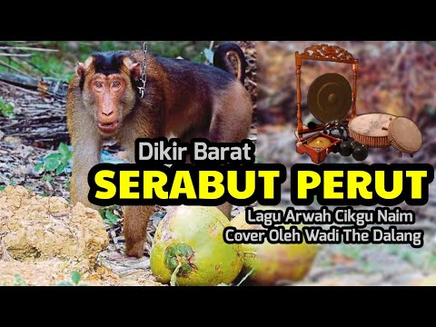 Dikir Serabut Perut cover Wadi Tok Dalang
