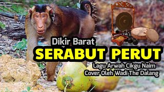 Download lagu Dikir Serabut Perut cover Wadi Tok Dalang mp3