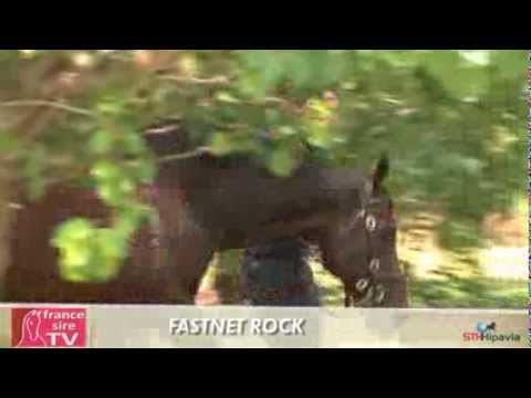 Fastnet Rock, étalon à Coolmore Australie - 2013