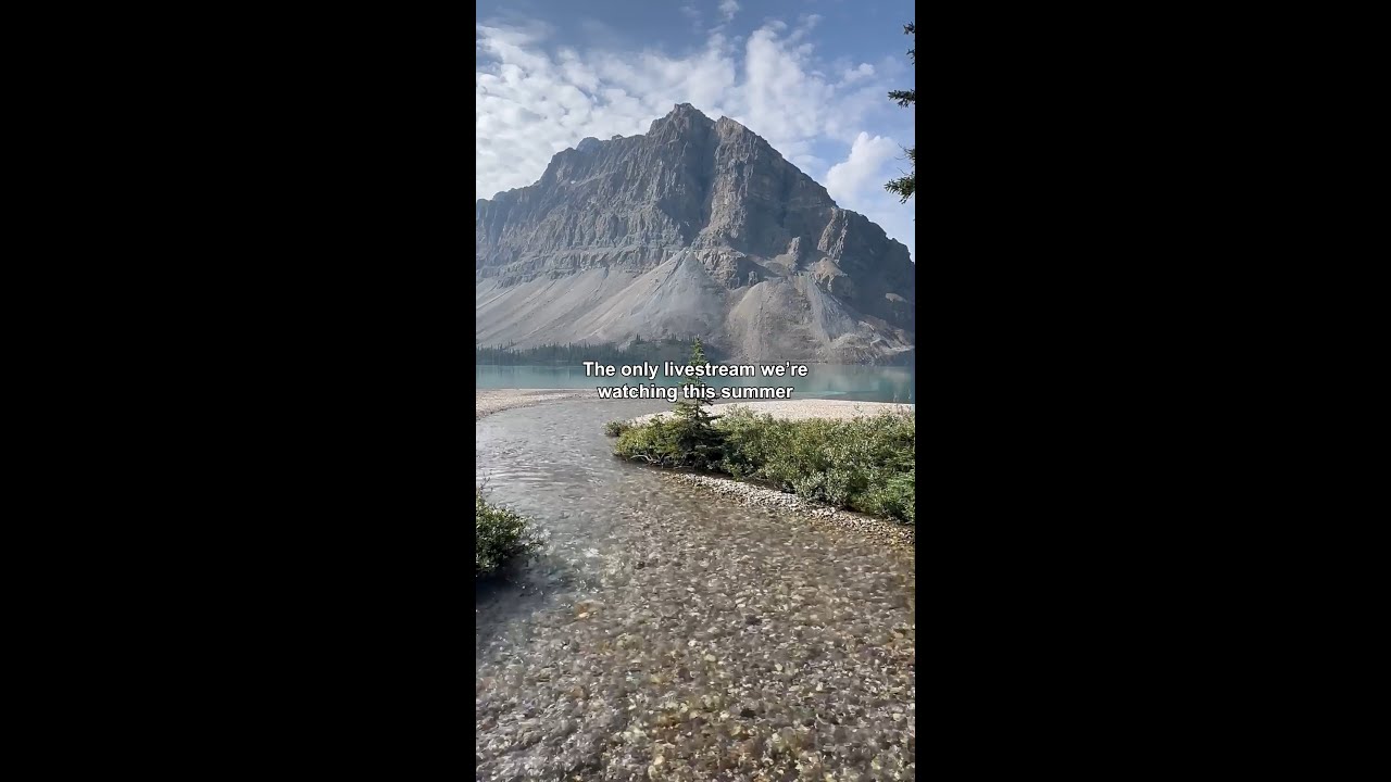 The only livestream we're watching this summer 🌊