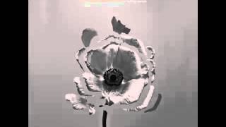 The Naked and Famous - The Mess (Audio)