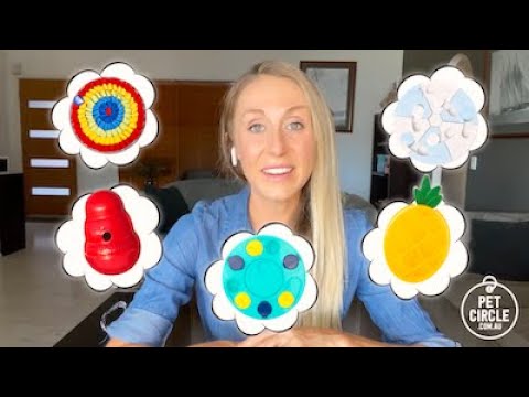 Puzzle Feeders for Pets: the Benefits (Vet Explains)