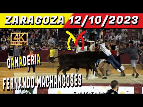 👀👉🔝ZARAGOZA 2023 FERNANDO MACHANCOSES