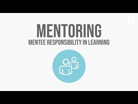 What is a Mentor