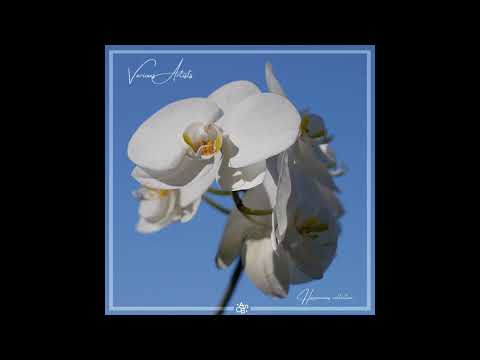 Harmonious & Modulo - In Our Light (Original Mix) [A Soul On Board] [DHTM Premiere]