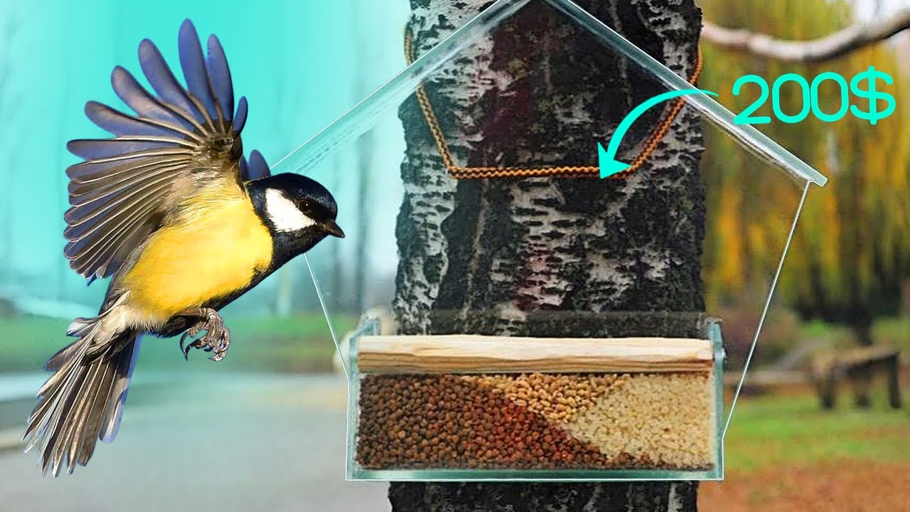 КУПЛЮ КОРМУШКУ ЗА 200$ !!! | КОНКУРС