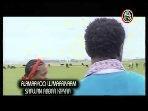 Alemayo W/Mariam - Saawwan Abbaa Kiyyaa (Oromo Music)