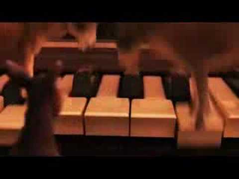 Burrave  Clube dos Parvos