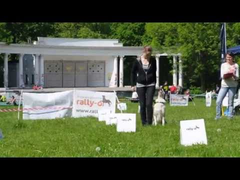 Texas Junior 1 rally-o Łódź