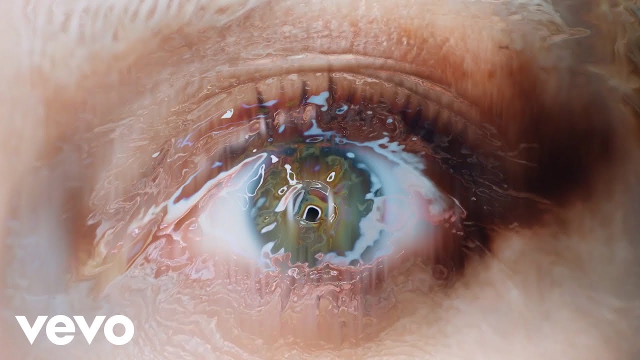 Lady Gaga The Beast Cover