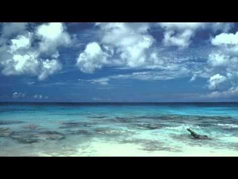 JEAN MICHEL JARRE - EN ATTENDANT COUSTEAU    / Full /