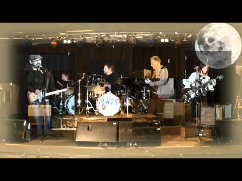 Spacejunk - The Bats (New Zealand)