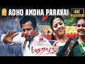 Adho Andha Paravai 4K Video Song அதோ அந்த பறவை போல Madrasi Arjun Jagapat