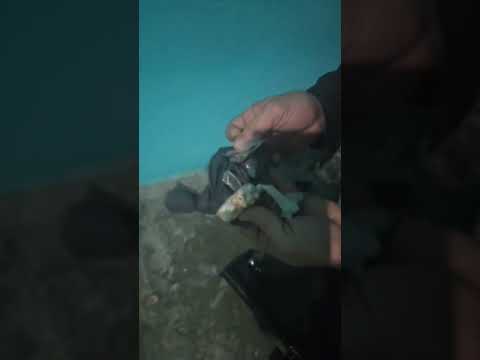 "Operação Caieiras" prende suspeitos de tráfico de drogas, posse ilegal de arma e homicídio no RN