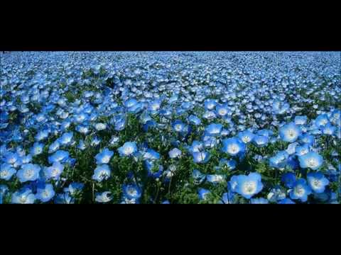 U vrtu malom - Pjevačka skupina "Baština" KUD-a Husain