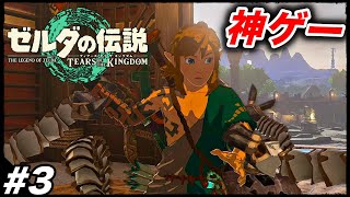 #3【逆バンジーw】ずっとやりたかった『ゼルダの伝説 ティアーズ オブ ザ キングダム』を楽しむ生放送