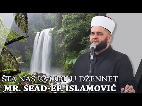 Sta nas uvodi u dzennet  ⁴ᵏmr.  Sead-Ef. Islamović #hadzimehovadzamija