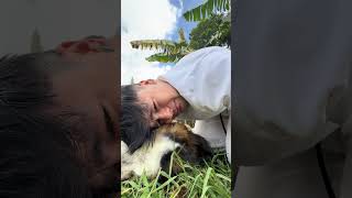 TIK TOK DE CARLOS FERIA #shorts