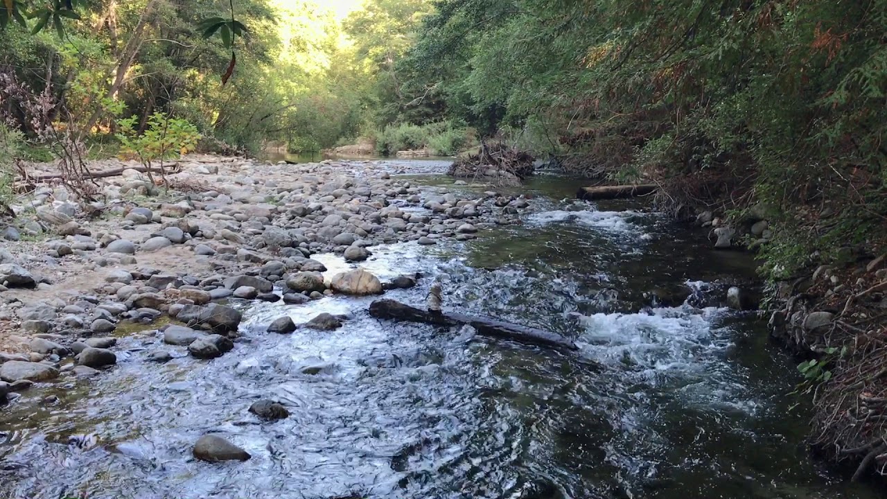 Mindfulness meditations by Terri Allen