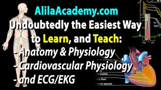 The Easiest Way to Learn, and Teach: A & P, ECG/EKG, and Cardiovascular Physiology.
