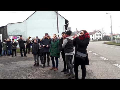 Tanzbär w Samborowicach