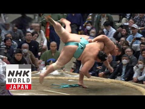 GRAND SUMO: Day 14 of the January 2026 Tournament - GRAND SUMO Highlights