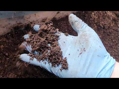 Höst i trädgården. 201013. Kom ihåg...