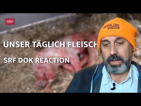 "Unser täglich Fleisch" - Rober Rauschmeier Reagiert auf SRF Dok