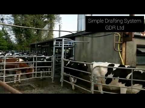 Simple Cow Drafting System - Image 2