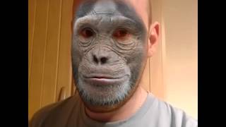 Mickey the monkey. Beans