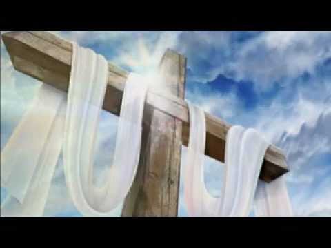 Tu sei degno di lode