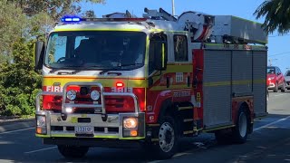 Gumtree on fire | Caboolture South, Brisbane, Queensland