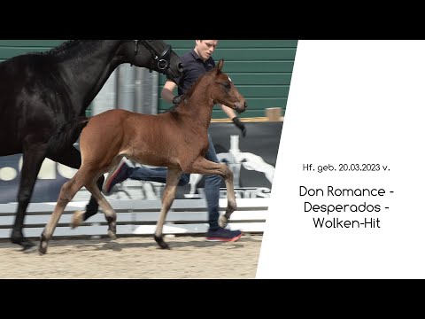 Hf v Don Romance x Desperados x Wolken Hit 2023