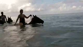 preview picture of video 'Chukka Horse Swim - Montego Bay, Jamacia - July 28, 2010 - Video #2'