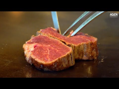 $191 Lunch in Tokyo GOURMET TEPPANYAKI Wagyu, Abalone, Prawn and Fried Rice