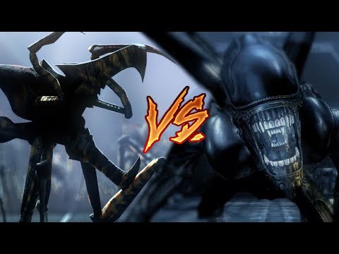 ALIEN: XENOMORPH vs ARACHNID WARRIOR - WHO WOULD WIN?